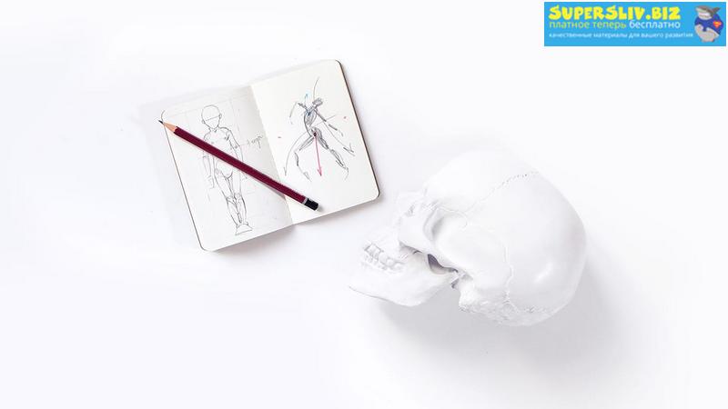 [Софья Мироедова] Анатомия для иллюстратора (2019)_0.jpg